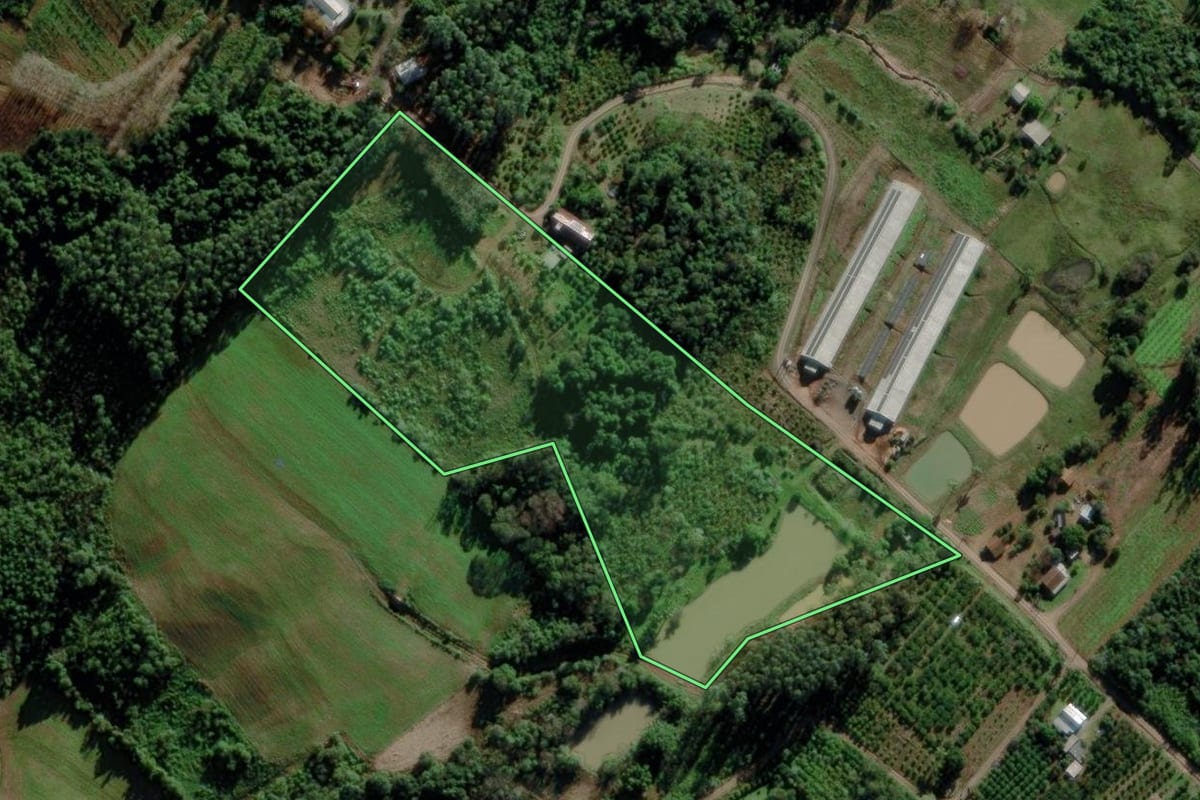 Imagem de satélite do imóvel rural em Maratá (RS), com o contorno declarado no CAR desenhado por cima.