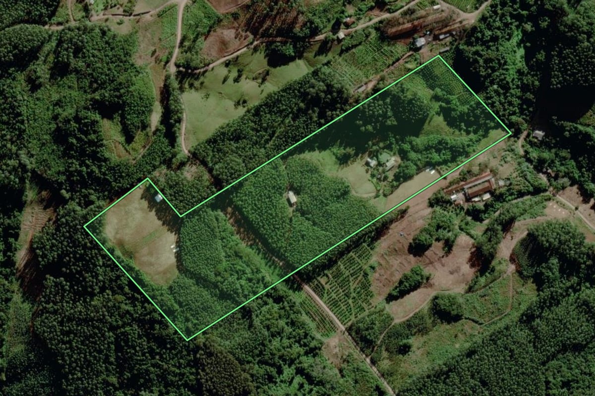 Imagem de satélite do imóvel rural em Maratá (RS), com o contorno declarado no CAR desenhado por cima.