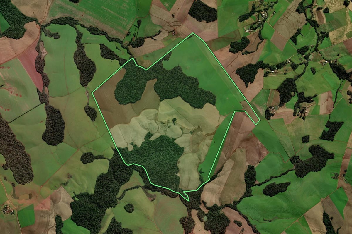 Imagem de satélite do imóvel rural em Marau (RS), com o contorno declarado no CAR desenhado por cima.