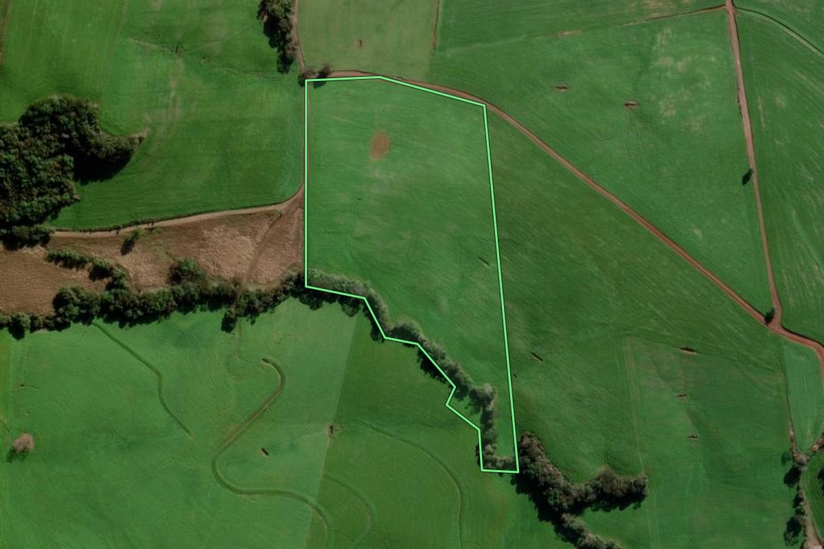 Imagem de satélite do imóvel rural em Marau (RS), com o contorno declarado no CAR desenhado por cima.