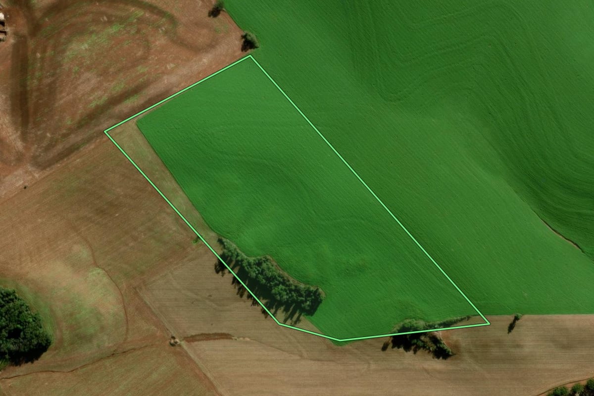 Imagem de satélite do imóvel rural em Marau (RS), com o contorno declarado no CAR desenhado por cima.