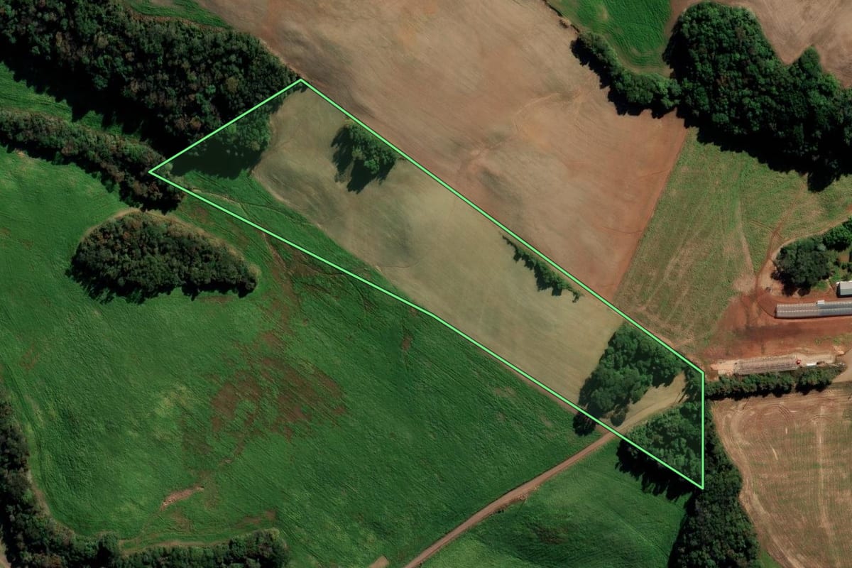 Imagem de satélite do imóvel rural em Marau (RS), com o contorno declarado no CAR desenhado por cima.