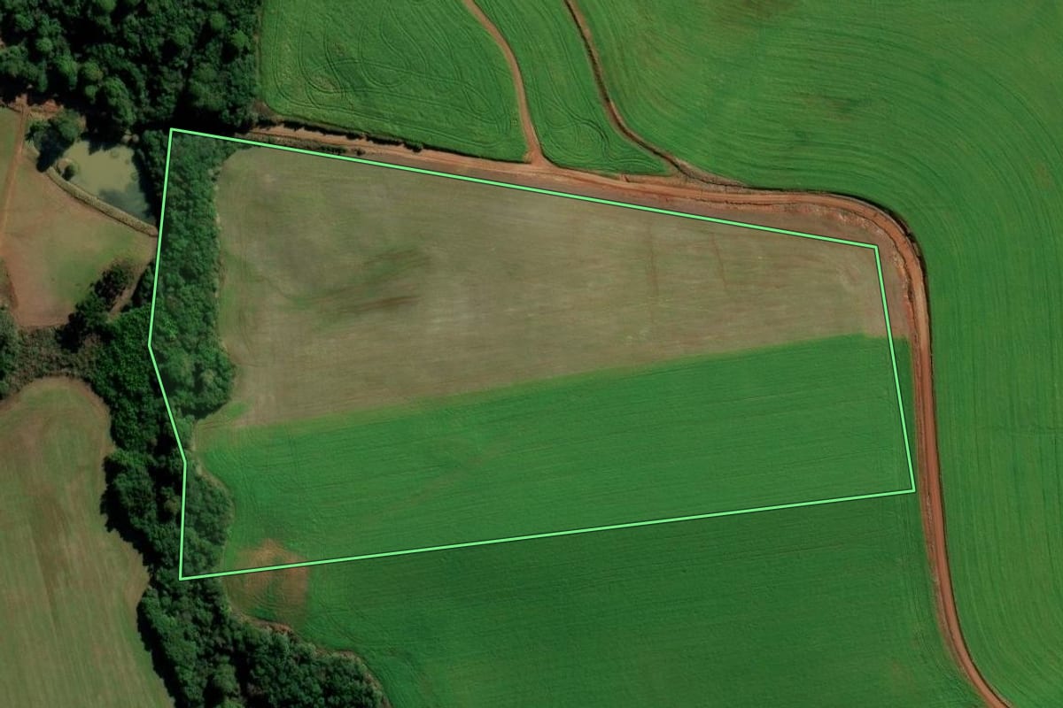 Imagem de satélite do imóvel rural em Marau (RS), com o contorno declarado no CAR desenhado por cima.
