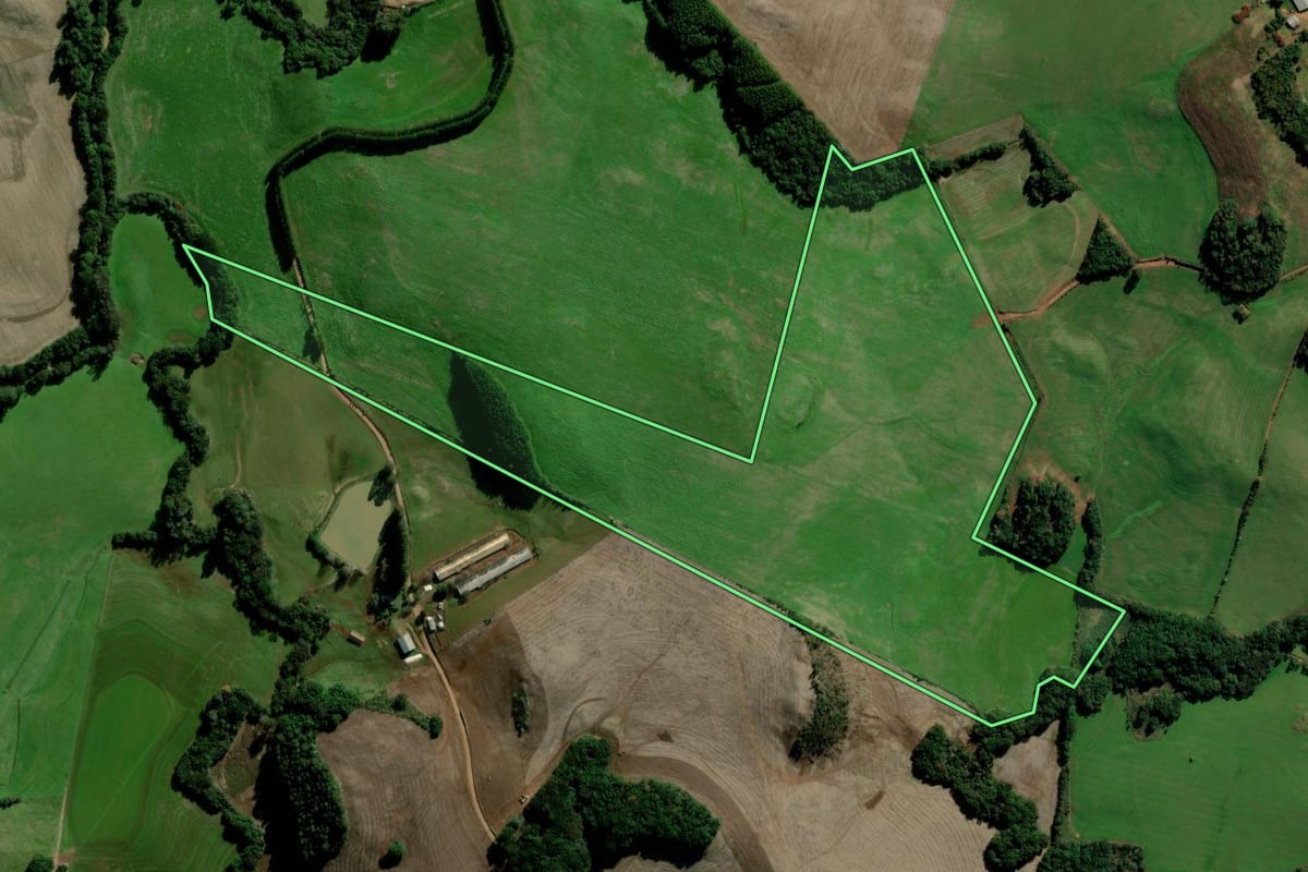 Imagem de satélite do imóvel rural em Marau (RS), com o contorno declarado no CAR desenhado por cima.