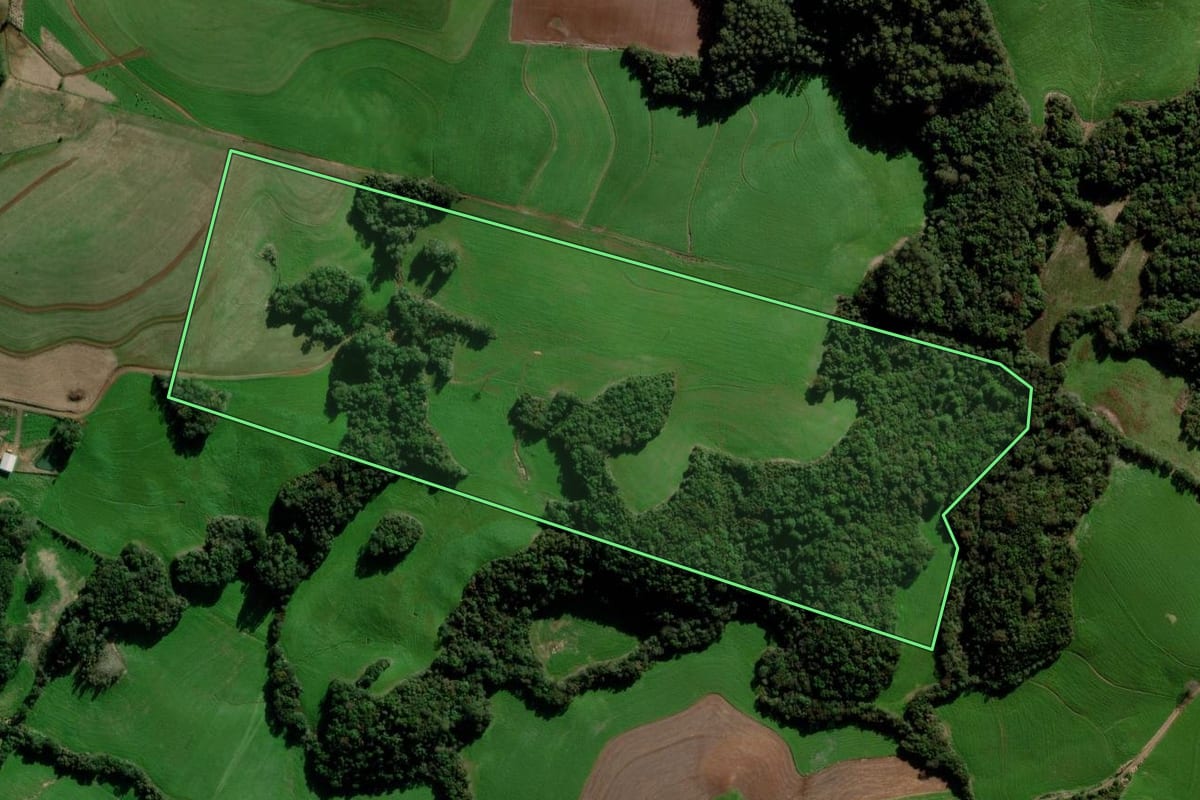 Imagem de satélite do imóvel rural em Marau (RS), com o contorno declarado no CAR desenhado por cima.