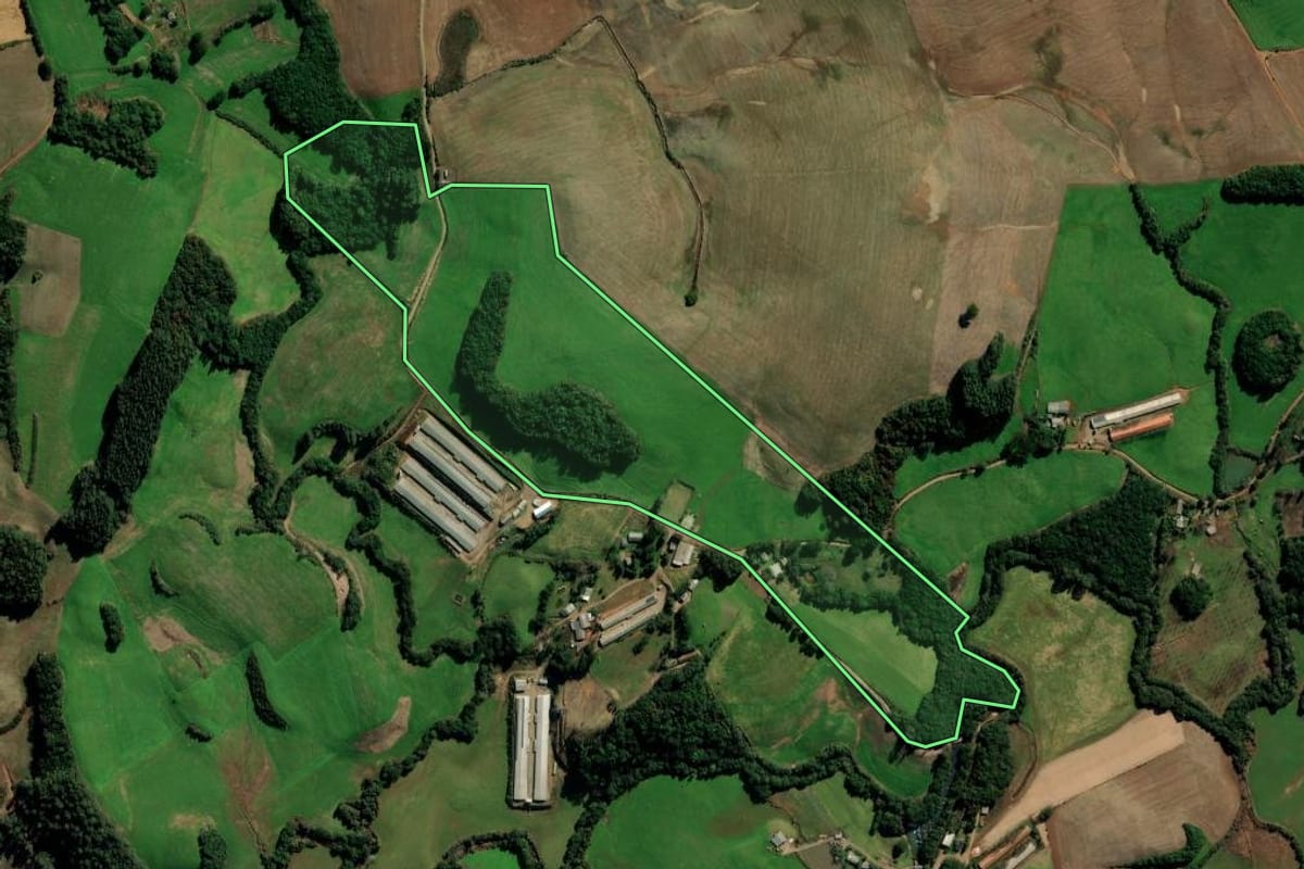 Imagem de satélite do imóvel rural em Marau (RS), com o contorno declarado no CAR desenhado por cima.