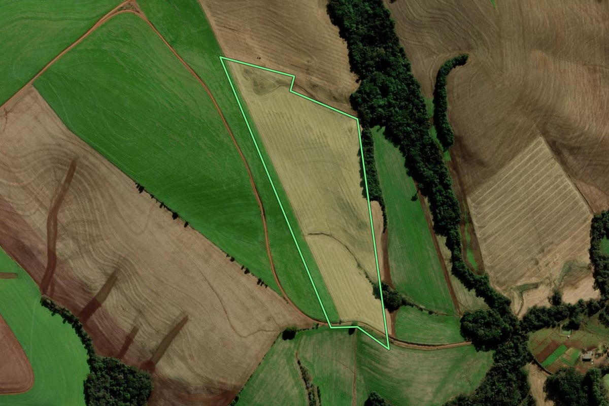 Imagem de satélite do imóvel rural em Marau (RS), com o contorno declarado no CAR desenhado por cima.