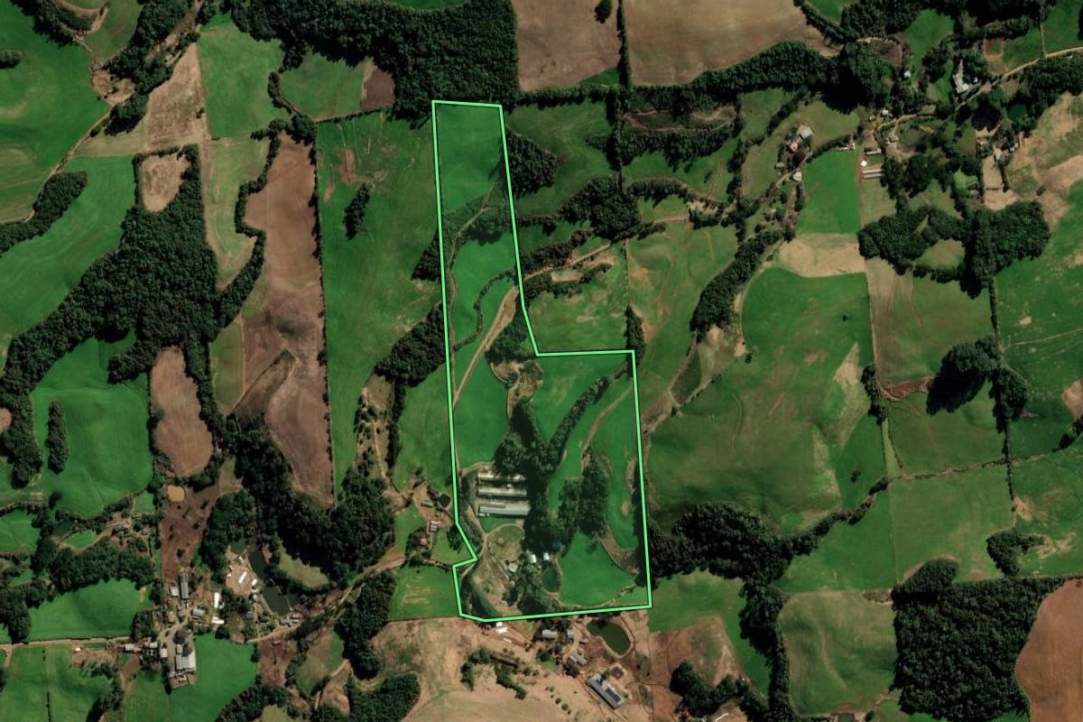 Imagem de satélite do imóvel rural em Marau (RS), com o contorno declarado no CAR desenhado por cima.