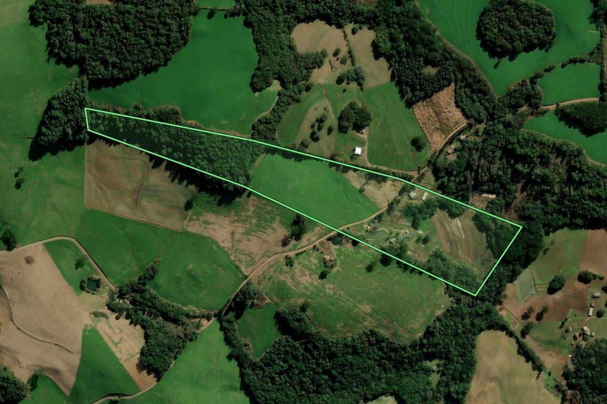 Imagem de satélite do imóvel rural em Marau (RS), com o contorno declarado no CAR desenhado por cima.