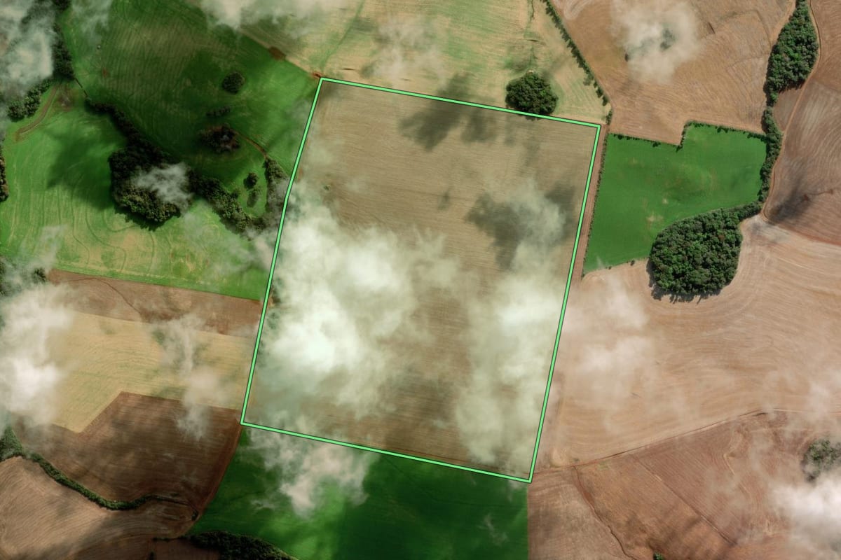 Imagem de satélite do imóvel rural em Marau (RS), com o contorno declarado no CAR desenhado por cima.