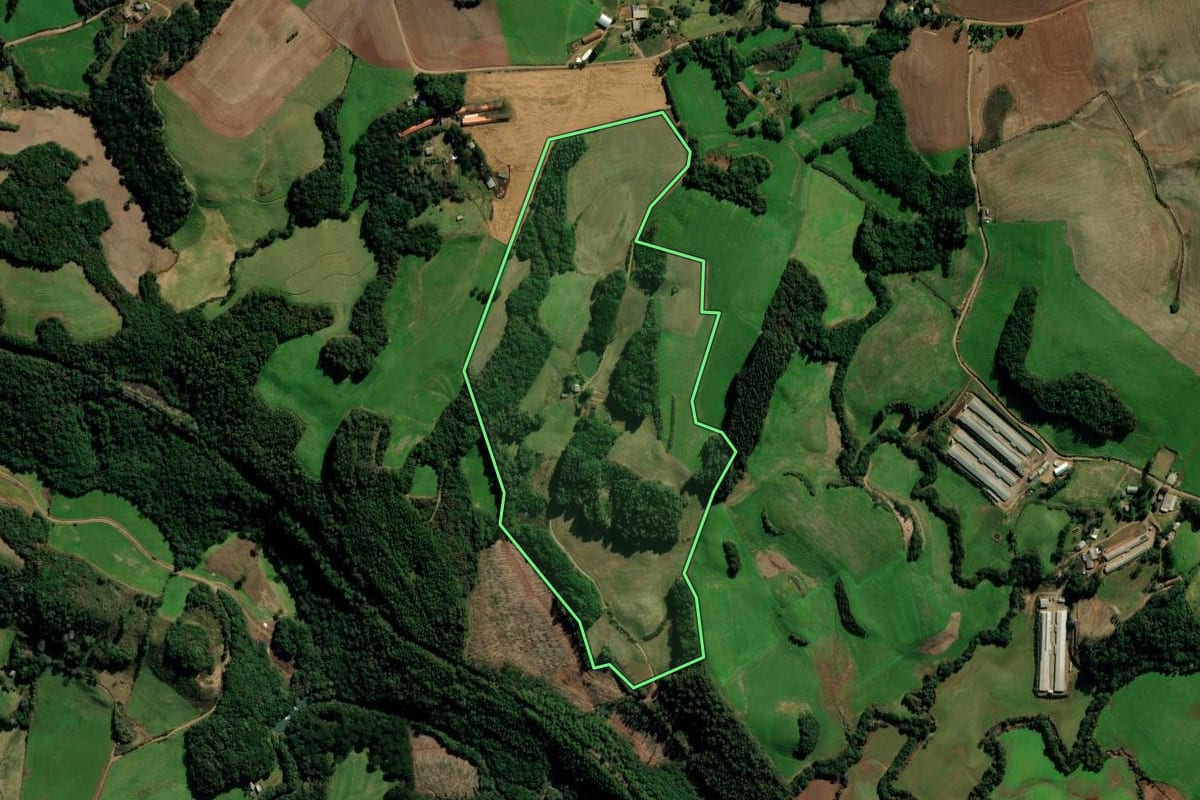 Imagem de satélite do imóvel rural em Marau (RS), com o contorno declarado no CAR desenhado por cima.