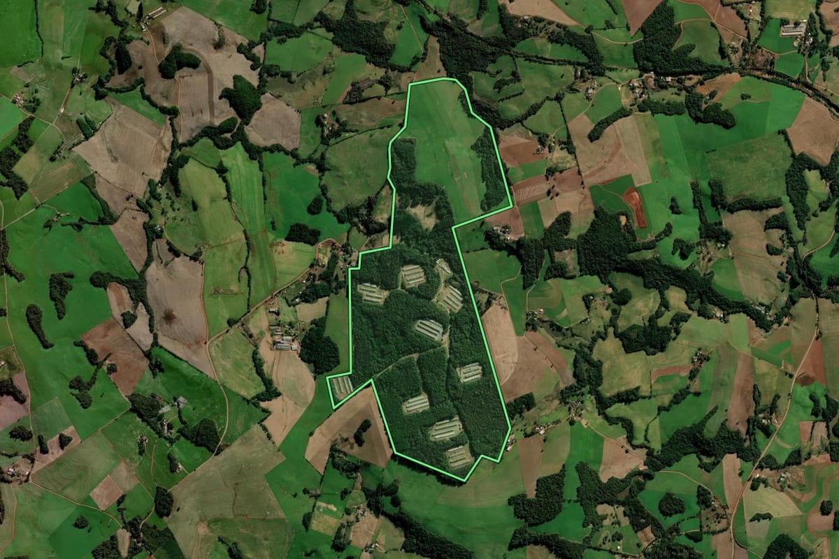 Imagem de satélite do imóvel rural em Marau (RS), com o contorno declarado no CAR desenhado por cima.