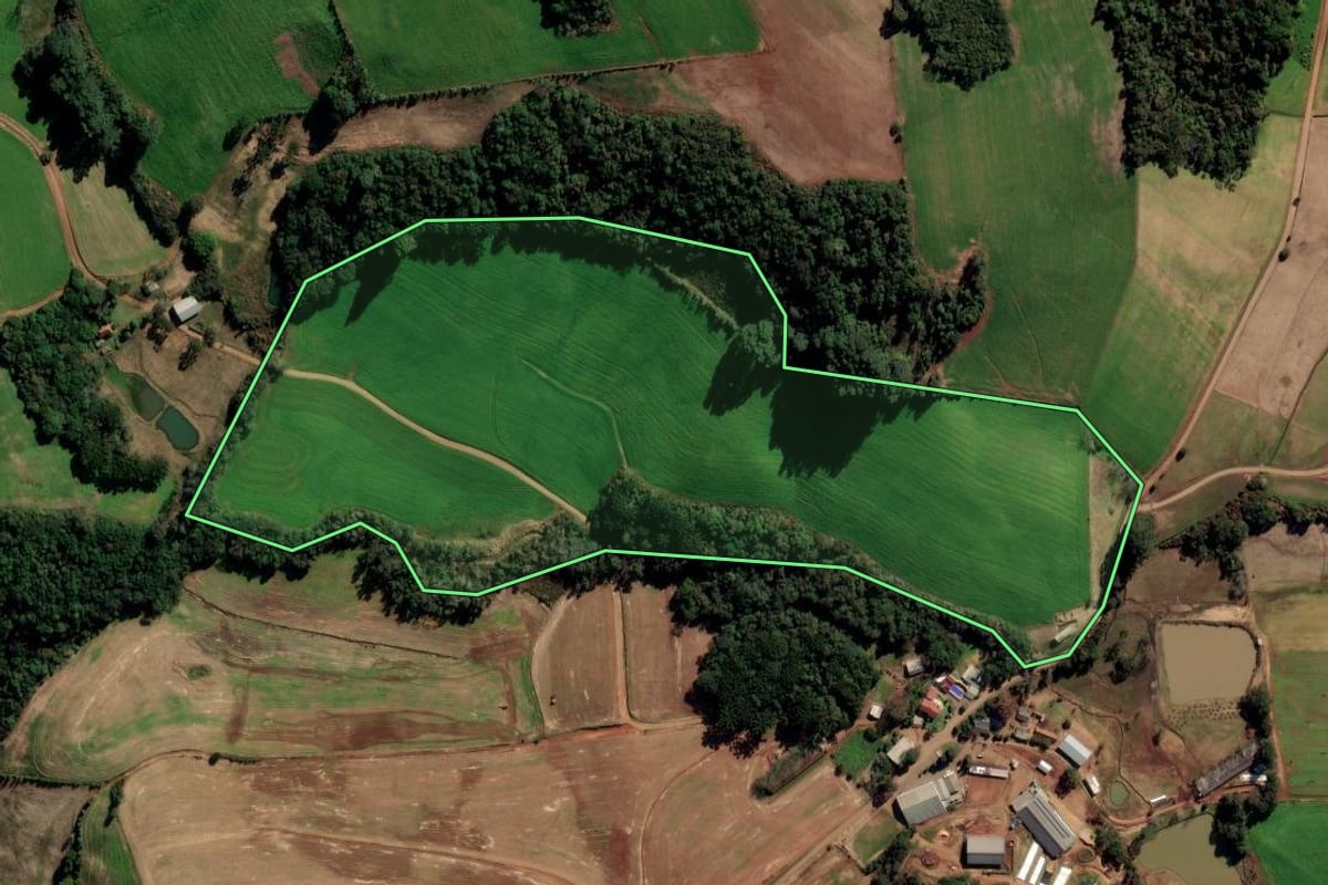 Imagem de satélite do imóvel rural em Marau (RS), com o contorno declarado no CAR desenhado por cima.
