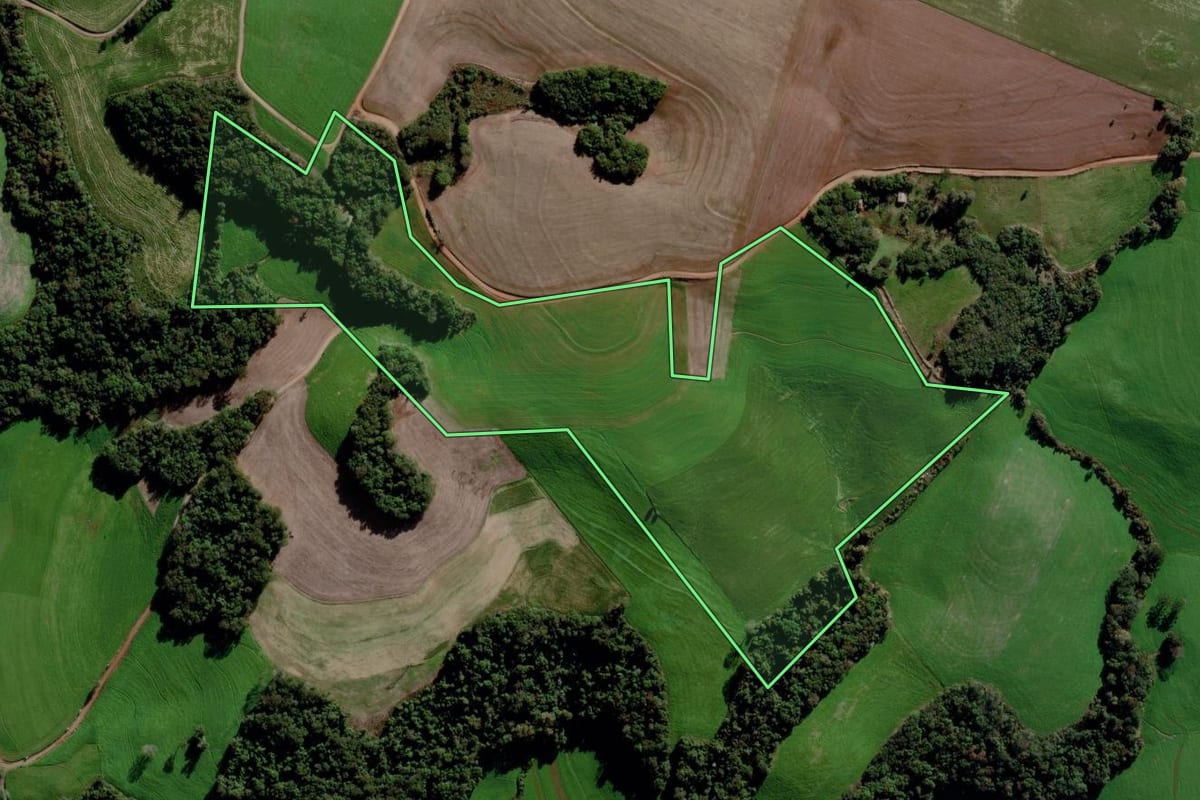 Imagem de satélite do imóvel rural em Marau (RS), com o contorno declarado no CAR desenhado por cima.