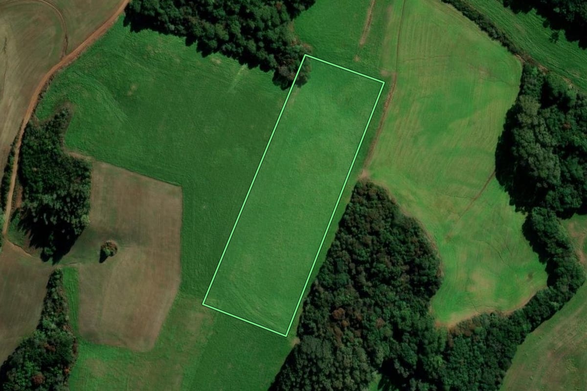 Imagem de satélite do imóvel rural em Marau (RS), com o contorno declarado no CAR desenhado por cima.