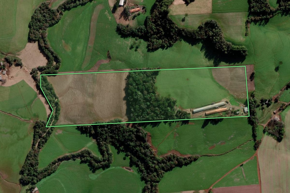 Imagem de satélite do imóvel rural em Marau (RS), com o contorno declarado no CAR desenhado por cima.
