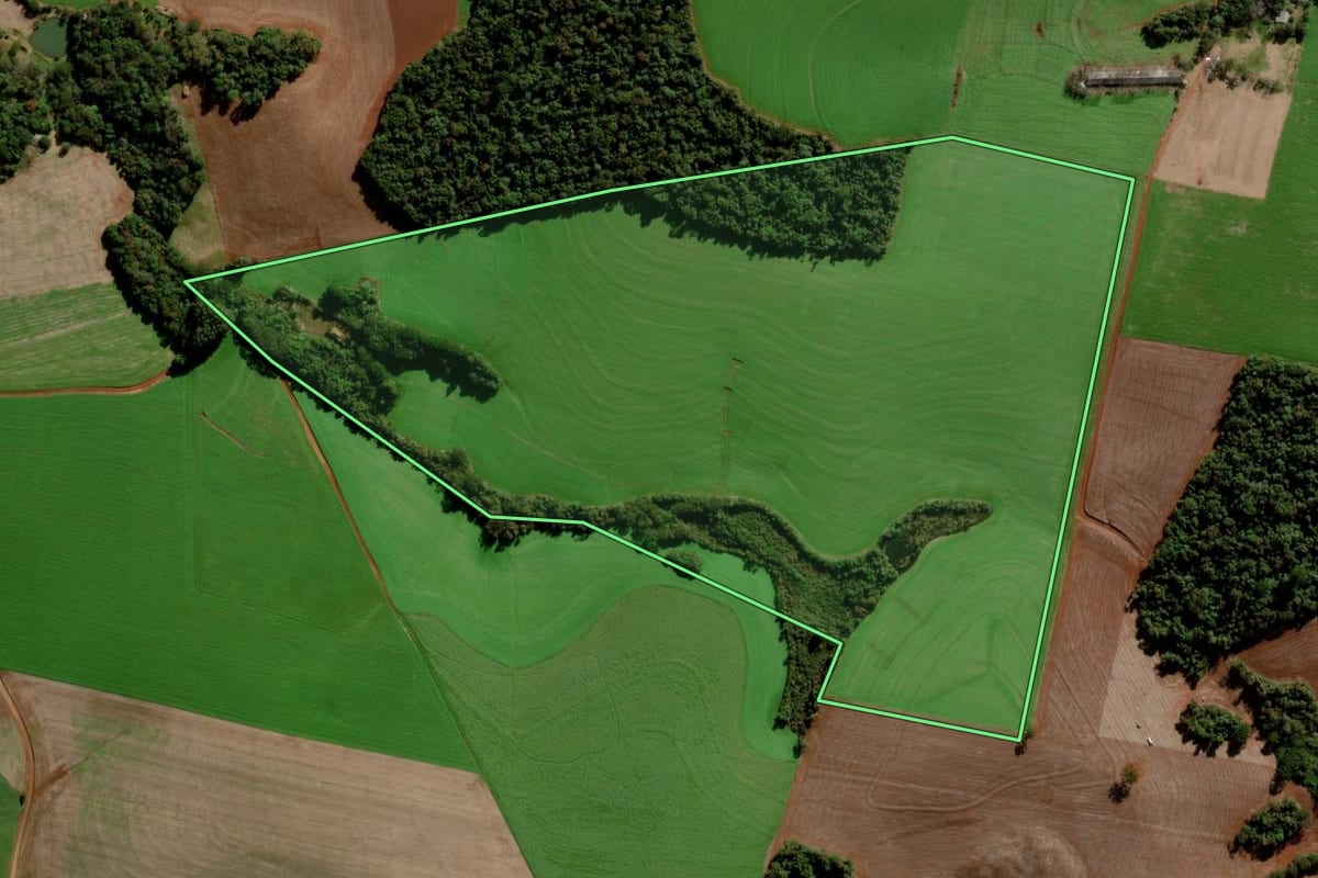 Imagem de satélite do imóvel rural em Marau (RS), com o contorno declarado no CAR desenhado por cima.