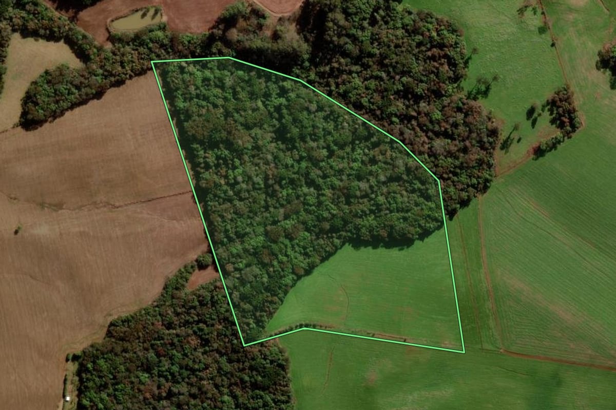 Imagem de satélite do imóvel rural em Marau (RS), com o contorno declarado no CAR desenhado por cima.