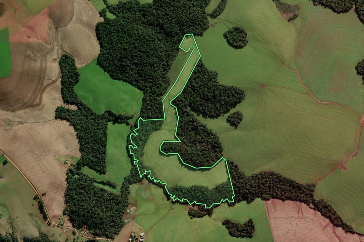 Imagem de satélite do imóvel rural em Marau (RS), com o contorno declarado no CAR desenhado por cima.