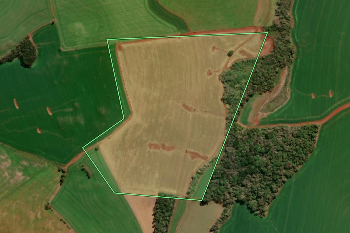 Imagem de satélite do imóvel rural em Marau (RS), com o contorno declarado no CAR desenhado por cima.