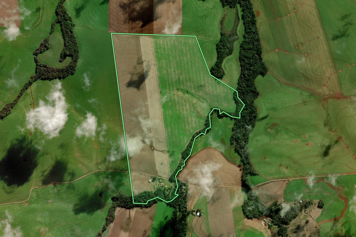 Imagem de satélite do imóvel rural em Marau (RS), com o contorno declarado no CAR desenhado por cima.