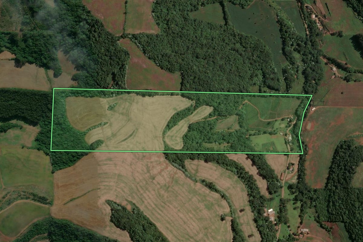 Imagem de satélite do imóvel rural em Marcelino Ramos (RS), com o contorno declarado no CAR desenhado por cima.