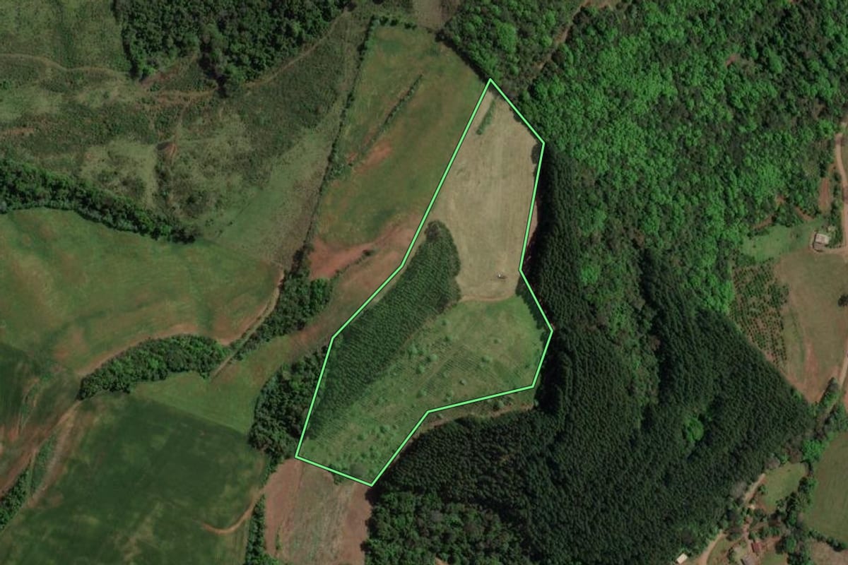 Imagem de satélite do imóvel rural em Marcelino Ramos (RS), com o contorno declarado no CAR desenhado por cima.