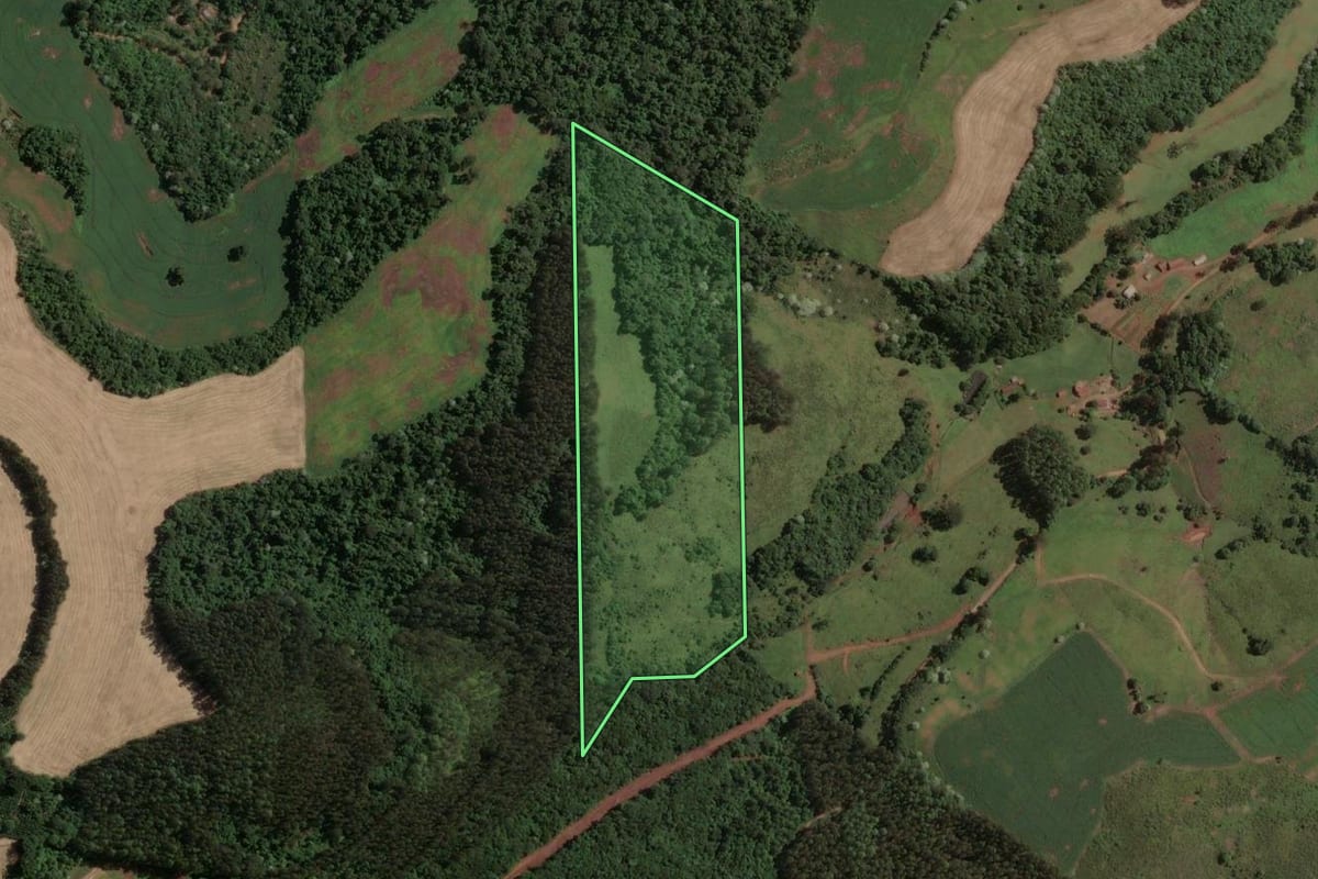 Imagem de satélite do imóvel rural em Marcelino Ramos (RS), com o contorno declarado no CAR desenhado por cima.