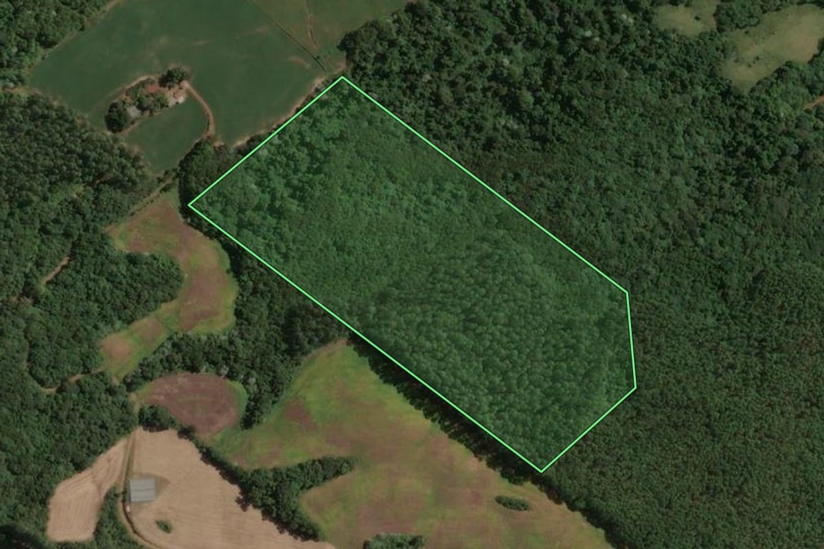 Imagem de satélite do imóvel rural em Marcelino Ramos (RS), com o contorno declarado no CAR desenhado por cima.
