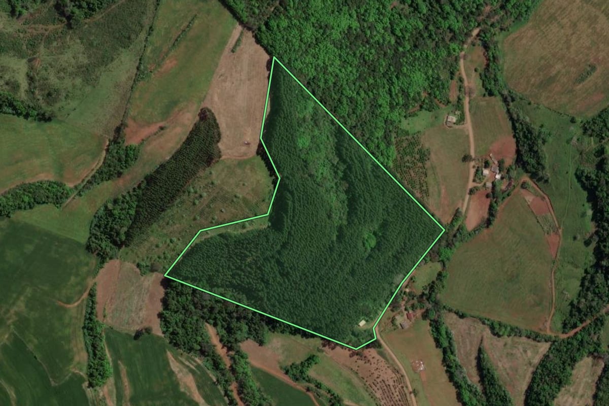Imagem de satélite do imóvel rural em Marcelino Ramos (RS), com o contorno declarado no CAR desenhado por cima.