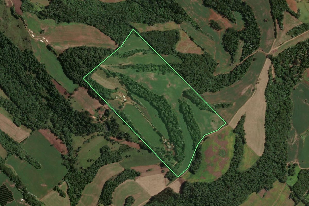 Imagem de satélite do imóvel rural em Marcelino Ramos (RS), com o contorno declarado no CAR desenhado por cima.