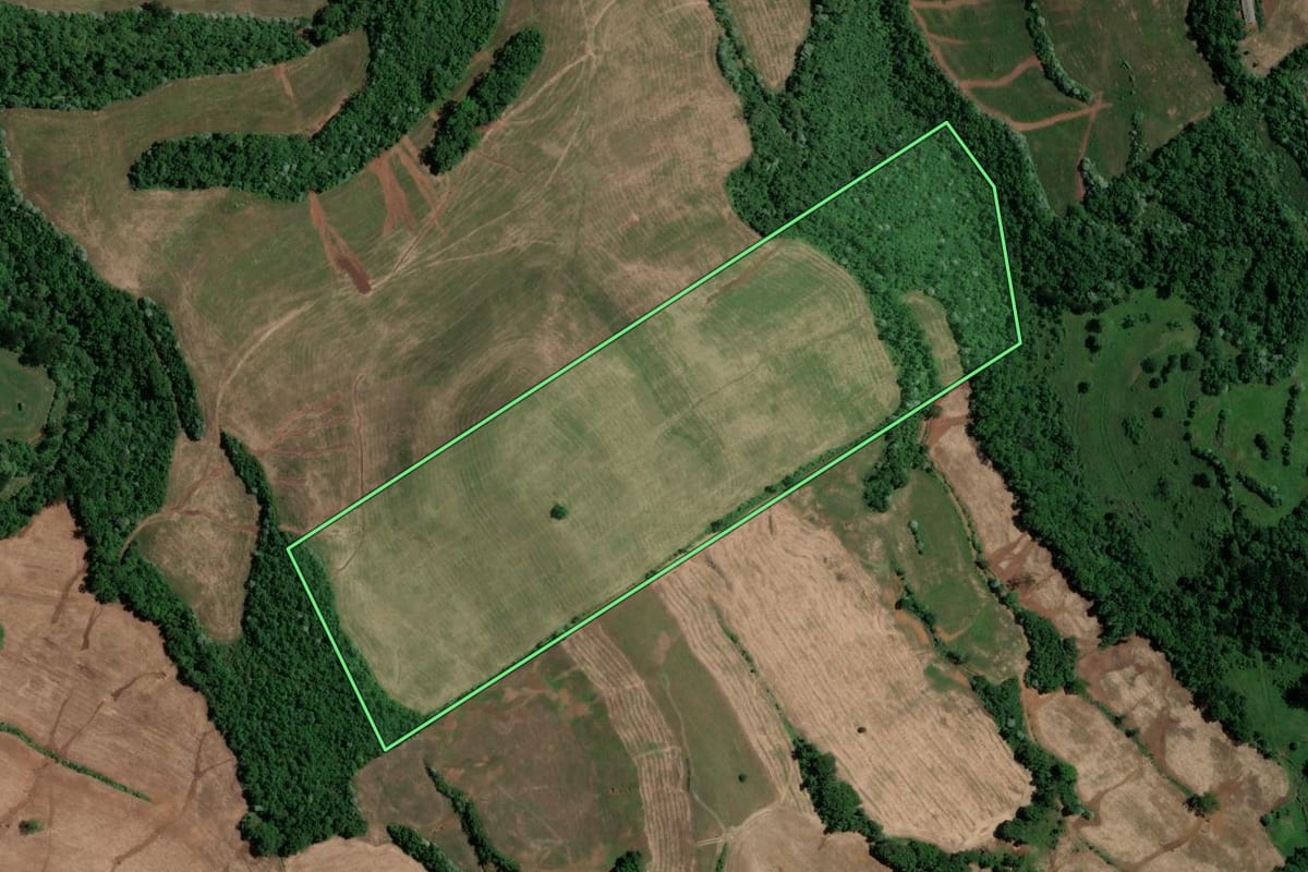 Imagem de satélite do imóvel rural em Marcelino Ramos (RS), com o contorno declarado no CAR desenhado por cima.