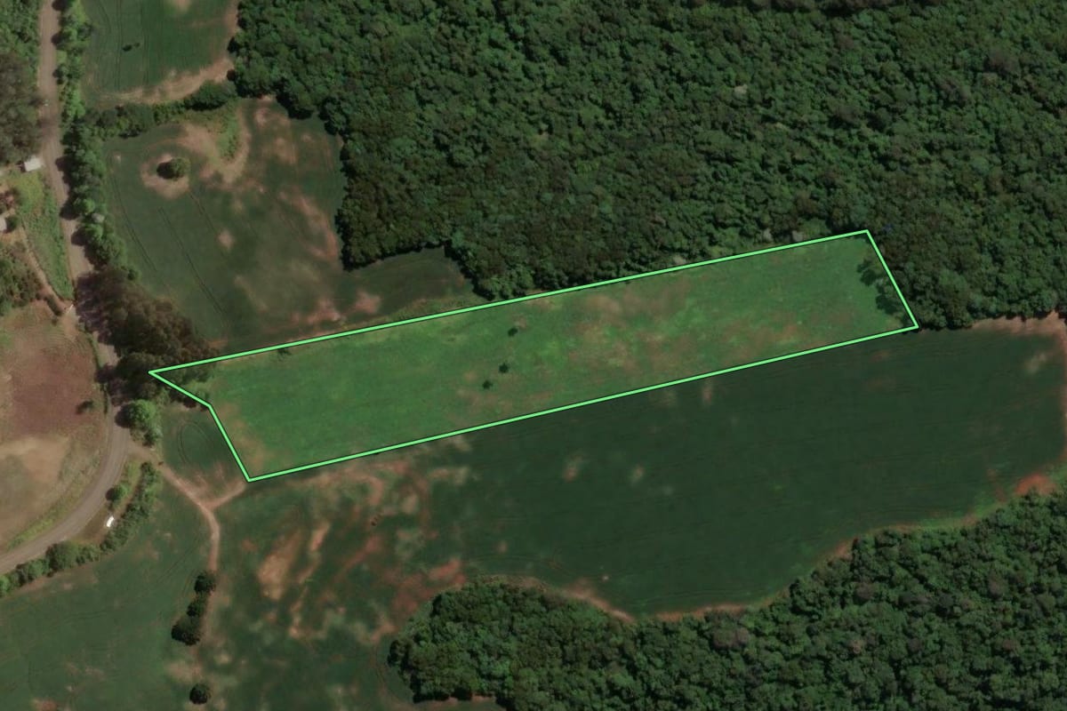 Imagem de satélite do imóvel rural em Marcelino Ramos (RS), com o contorno declarado no CAR desenhado por cima.