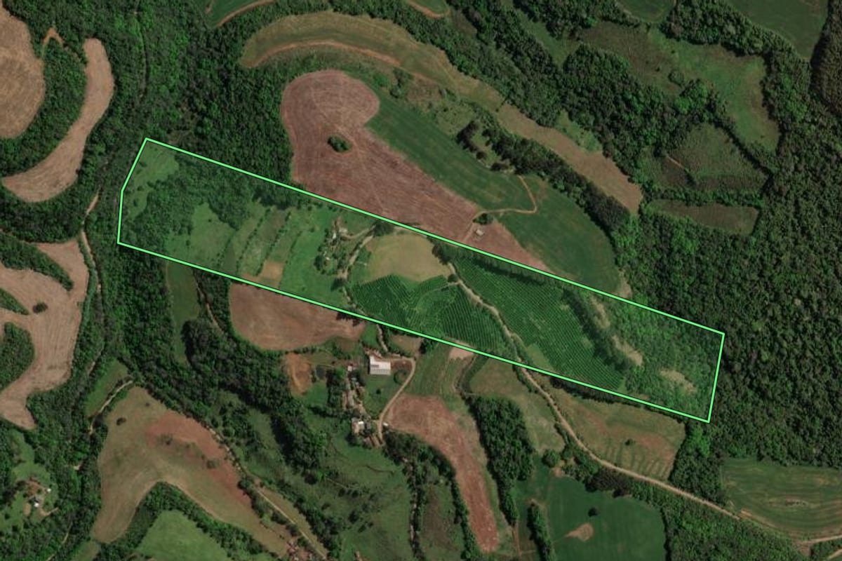 Imagem de satélite do imóvel rural em Marcelino Ramos (RS), com o contorno declarado no CAR desenhado por cima.