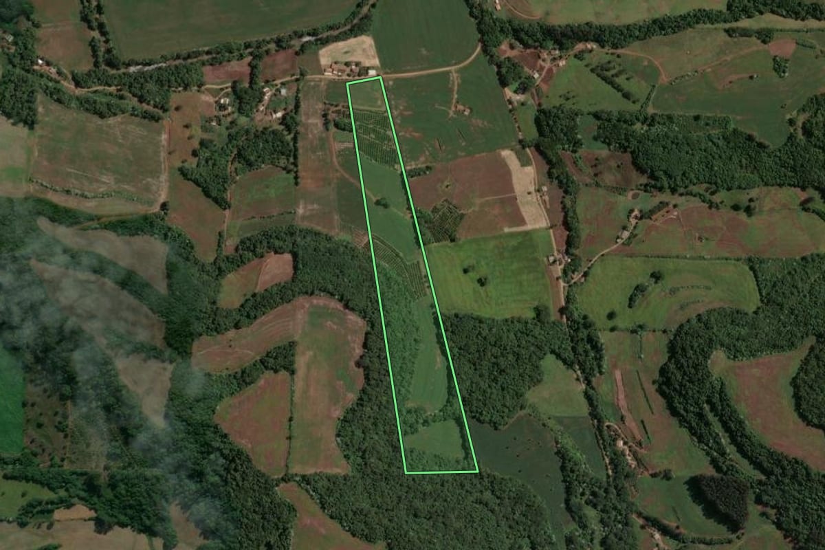 Imagem de satélite do imóvel rural em Marcelino Ramos (RS), com o contorno declarado no CAR desenhado por cima.