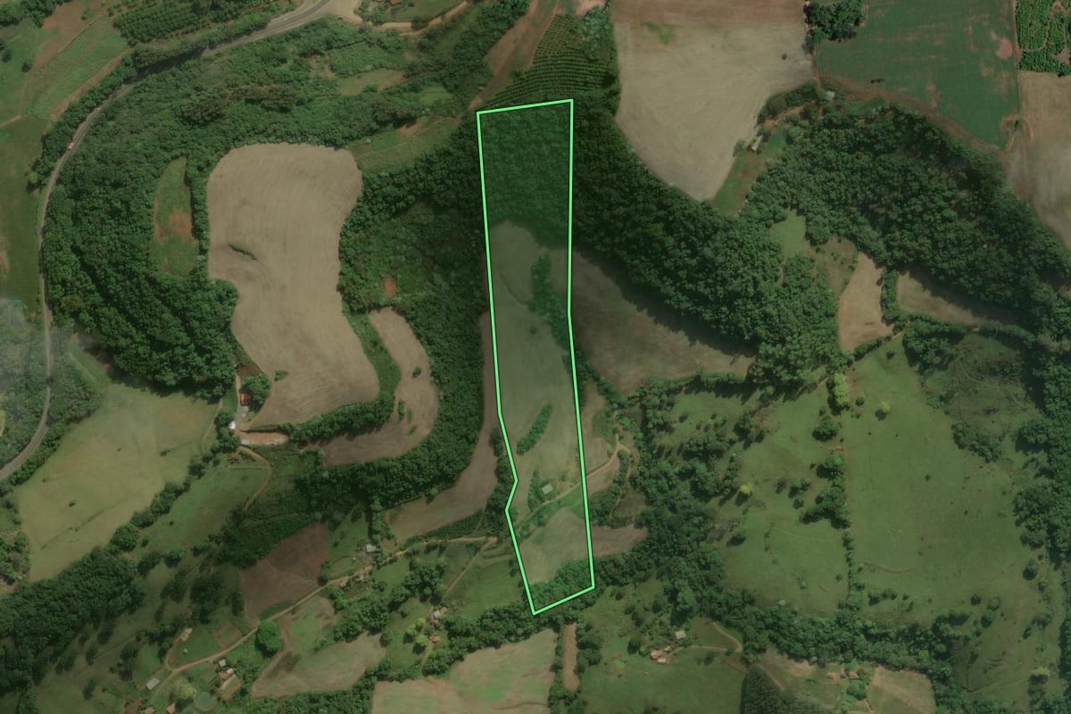 Imagem de satélite do imóvel rural em Marcelino Ramos (RS), com o contorno declarado no CAR desenhado por cima.