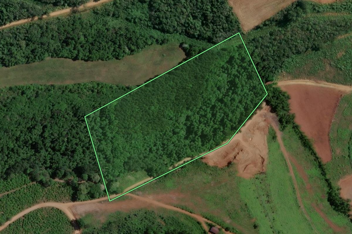 Imagem de satélite do imóvel rural em Marcelino Ramos (RS), com o contorno declarado no CAR desenhado por cima.