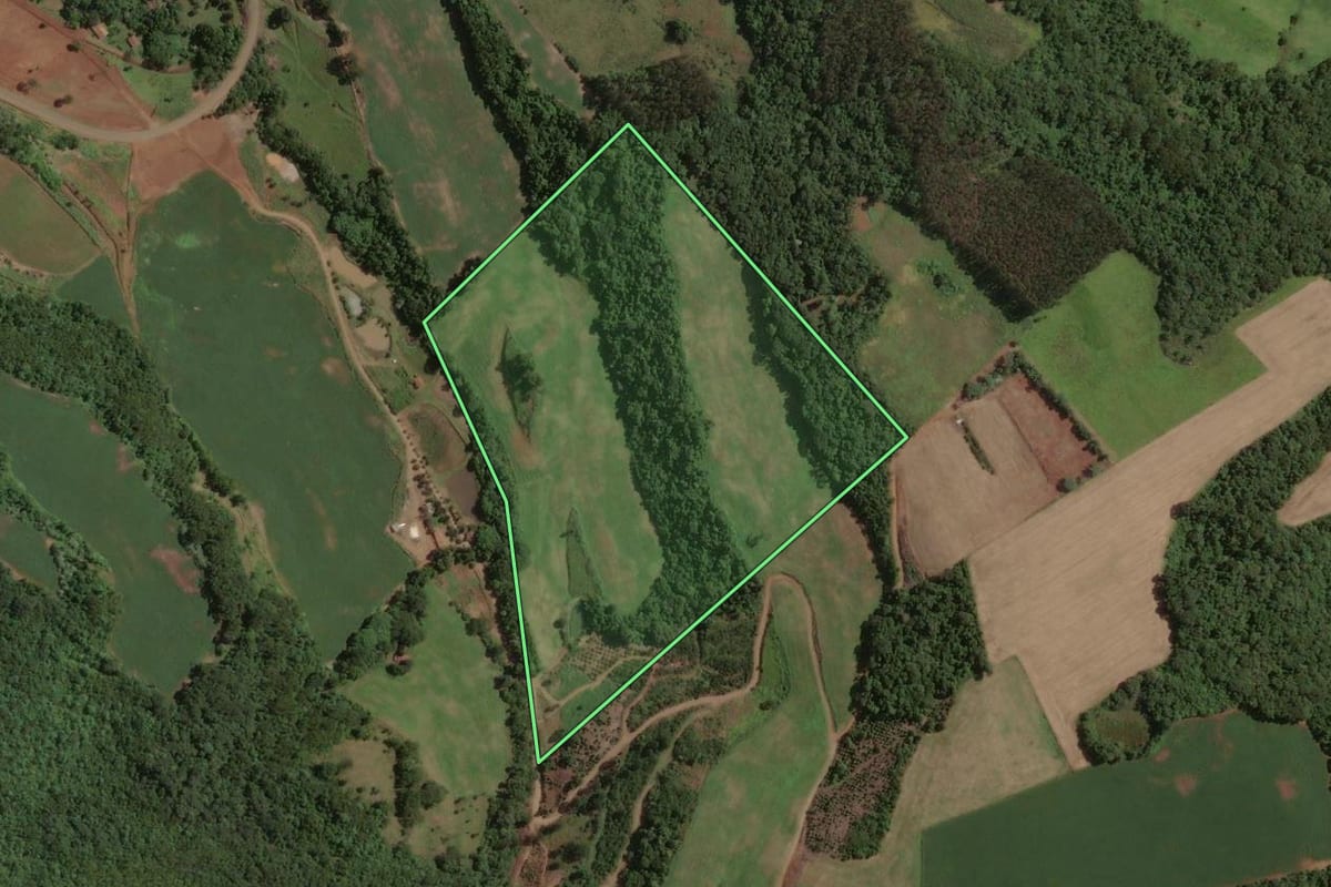 Imagem de satélite do imóvel rural em Marcelino Ramos (RS), com o contorno declarado no CAR desenhado por cima.