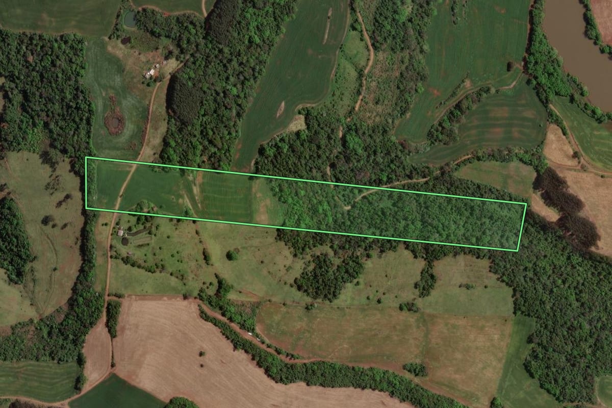 Imagem de satélite do imóvel rural em Marcelino Ramos (RS), com o contorno declarado no CAR desenhado por cima.