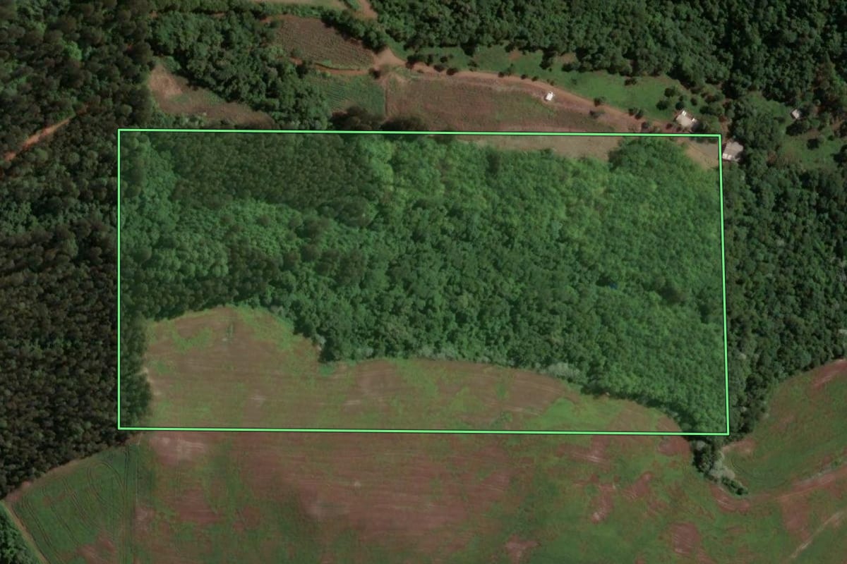 Imagem de satélite do imóvel rural em Marcelino Ramos (RS), com o contorno declarado no CAR desenhado por cima.