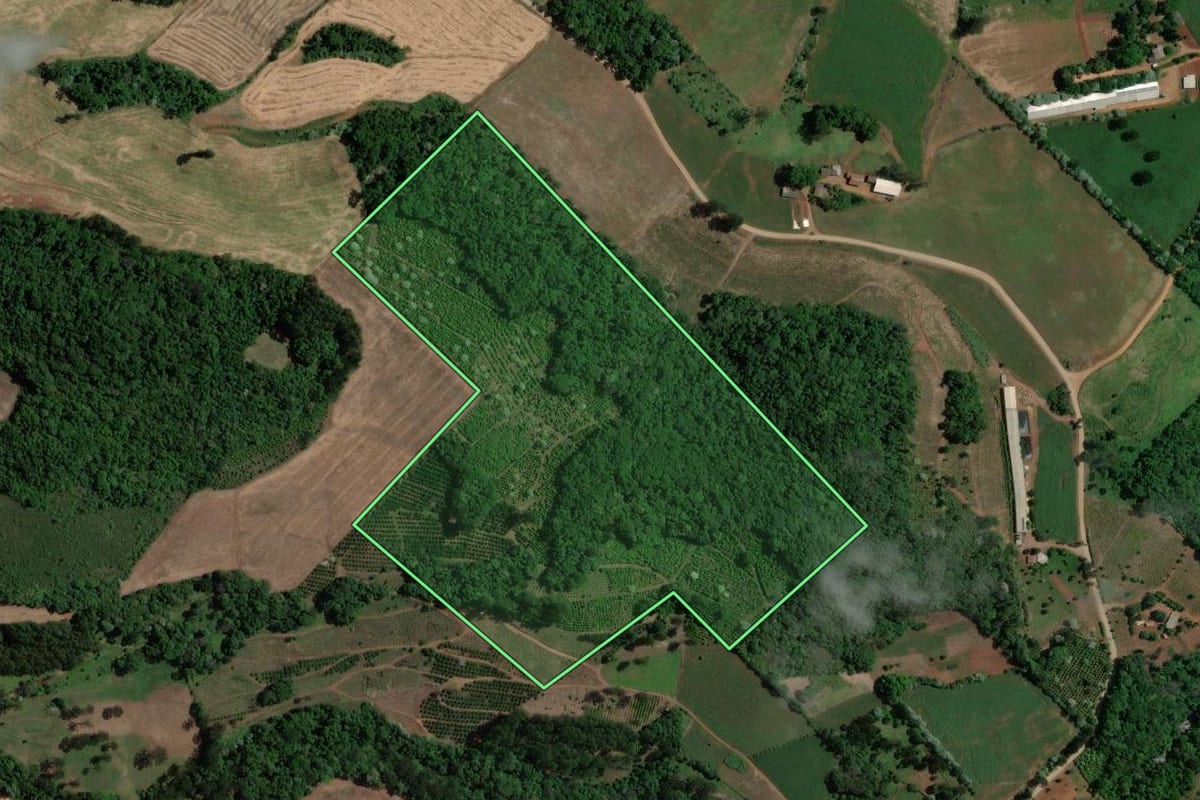 Imagem de satélite do imóvel rural em Marcelino Ramos (RS), com o contorno declarado no CAR desenhado por cima.