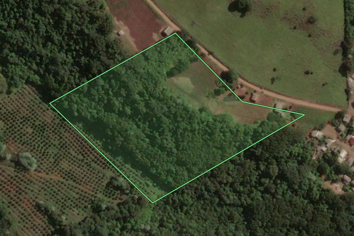 Imagem de satélite do imóvel rural em Marcelino Ramos (RS), com o contorno declarado no CAR desenhado por cima.