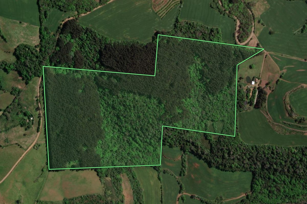 Imagem de satélite do imóvel rural em Marcelino Ramos (RS), com o contorno declarado no CAR desenhado por cima.
