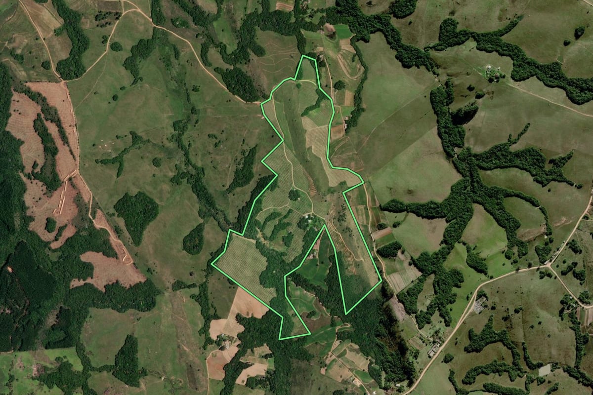 Imagem de satélite do imóvel rural em Mariana Pimentel (RS), com o contorno declarado no CAR desenhado por cima.