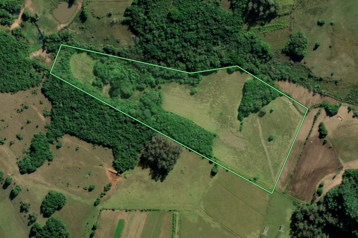 Imagem de satélite do imóvel rural em Mariana Pimentel (RS), com o contorno declarado no CAR desenhado por cima.
