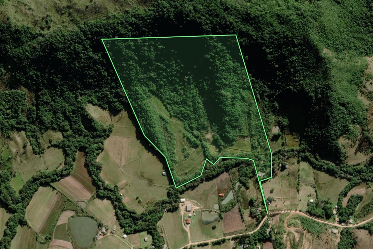 Imagem de satélite do imóvel rural em Mariana Pimentel (RS), com o contorno declarado no CAR desenhado por cima.