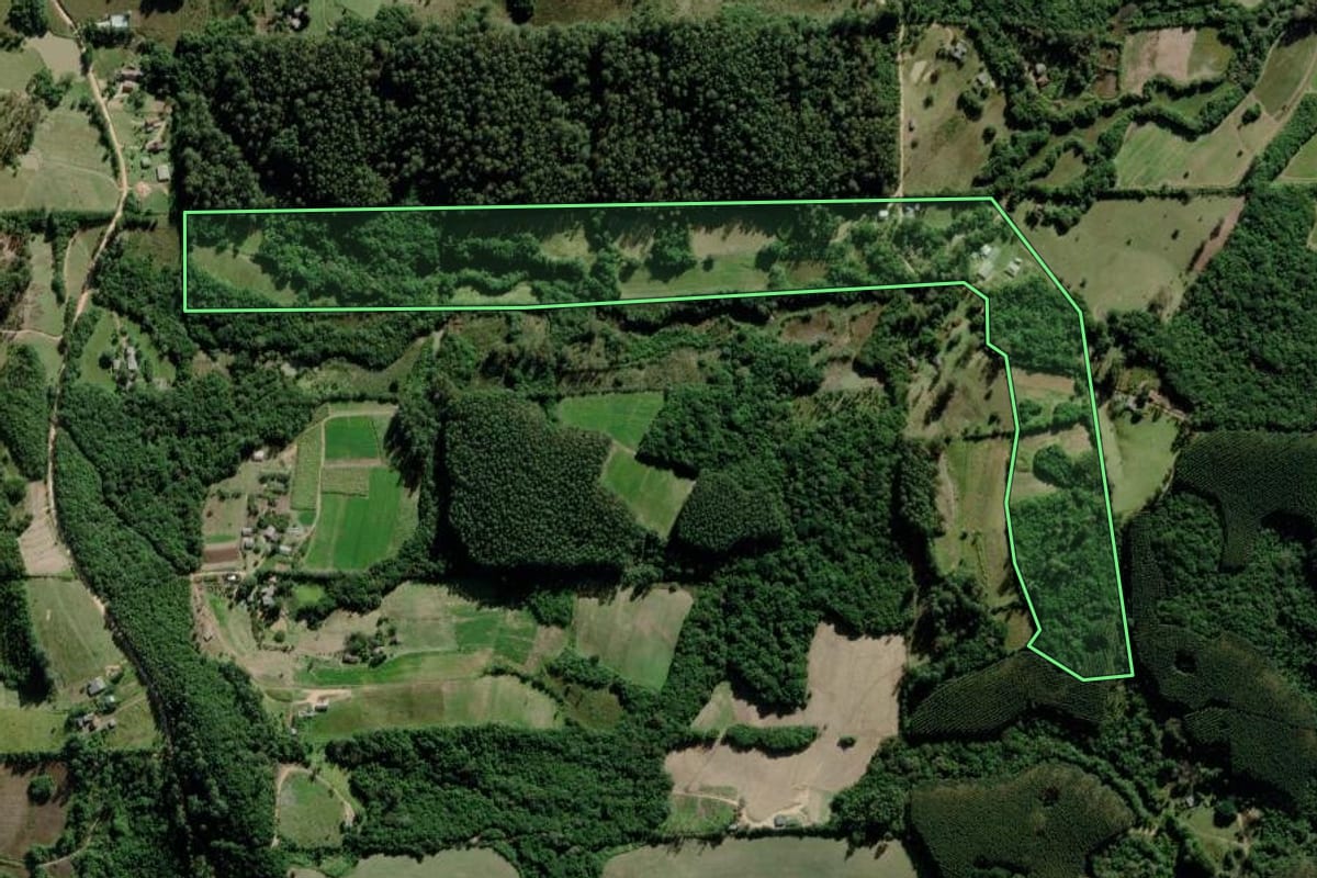 Imagem de satélite do imóvel rural em Mariana Pimentel (RS), com o contorno declarado no CAR desenhado por cima.