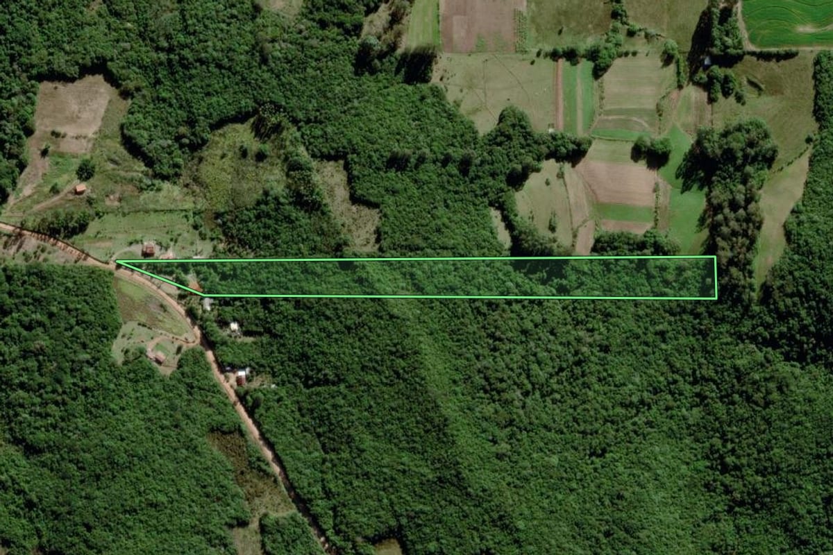 Imagem de satélite do imóvel rural em Mariana Pimentel (RS), com o contorno declarado no CAR desenhado por cima.