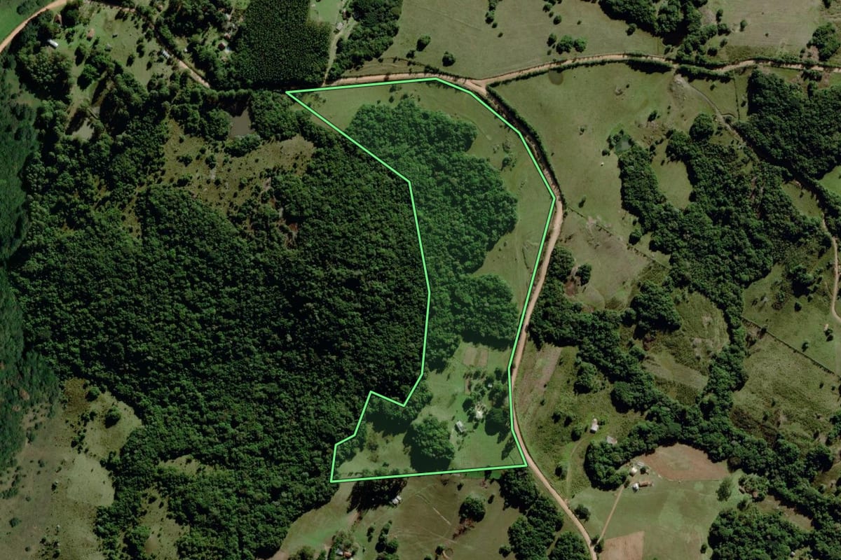 Imagem de satélite do imóvel rural em Mariana Pimentel (RS), com o contorno declarado no CAR desenhado por cima.
