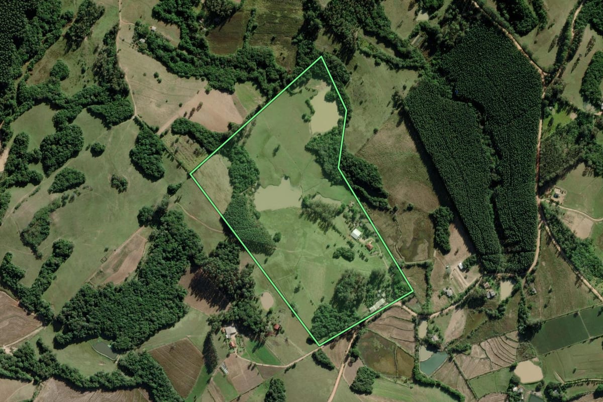 Imagem de satélite do imóvel rural em Mariana Pimentel (RS), com o contorno declarado no CAR desenhado por cima.